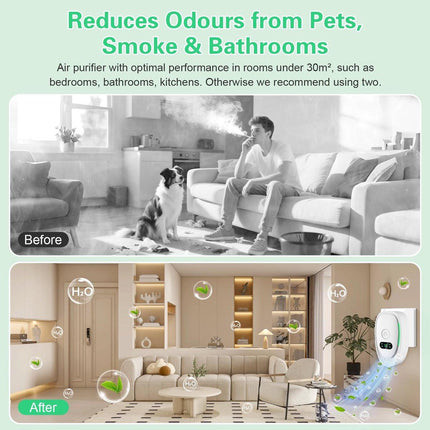 Appliances > Aroma Diffusers & Humidifiers > Purifiers.