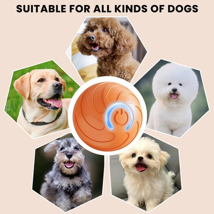 Pet Toys - Dog Toys - Interactive Dog Toys - Automatic Moving, Bouncing and Rotating Dog Ball - IPX7 Waterproof - Active Rolling Ball for Small and Medium Dogs (Orange).