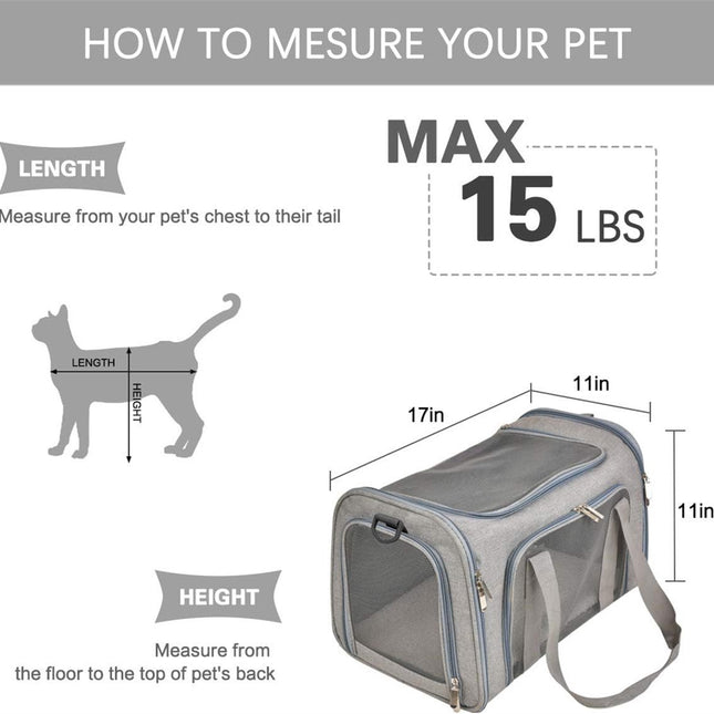Pet Care Cartoz.