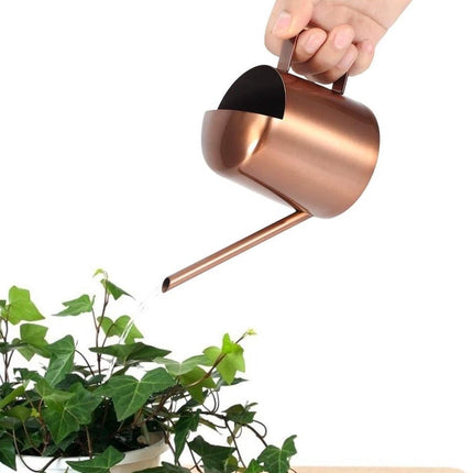 Home & Garden Cartoz.