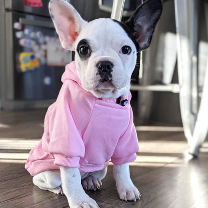Dog Coat - Winter Hoodie - Warm Dog Coat - With Pockets - Sweatshirt - Warm Clothing - Chihuahua Dog Coat - Perfect for Small Dogs - Pink - Size M.