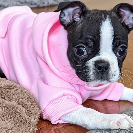 Dog Coat - Winter Hoodie - Warm Dog Coat - With Pockets - Sweatshirt - Warm Clothing - Chihuahua Dog Coat - Perfect for Small Dogs - Pink - Size M.