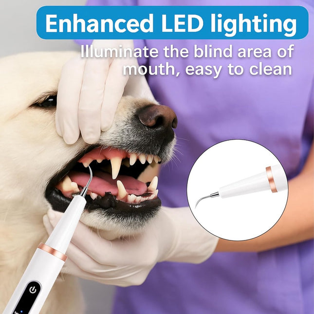 Electric Dog Toothbrush - Dental Cleaning Tools - Dog Toothbrush Set with LED Light - Rechargeable Dental Device, Anti-Plaque for Dogs and Cats - Wit.