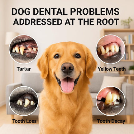 Electric Dog Toothbrush - Dental Cleaning Tools - Dog Toothbrush Set with LED Light - Rechargeable Dental Device, Anti-Plaque for Dogs and Cats - Wit.