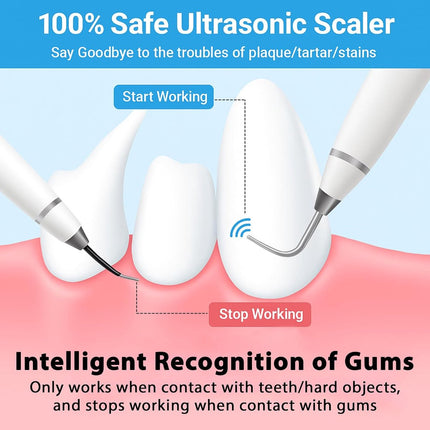 Electric Dog Toothbrush - Dental Cleaning Tools - Dog Toothbrush Set with LED Light - Rechargeable Dental Device, Anti-Plaque for Dogs and Cats - Wit.