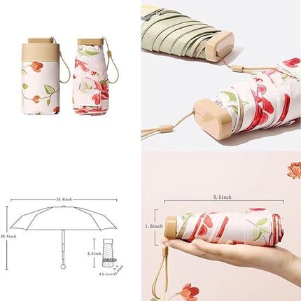 Home & Garden Cartoz.