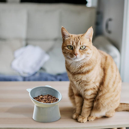 Cat bowl - Feeders - Tilting bowl - Anti-vomiting - Angled design - Blue - Perfect for cats - Indoor use - Pet accessories - Blue.