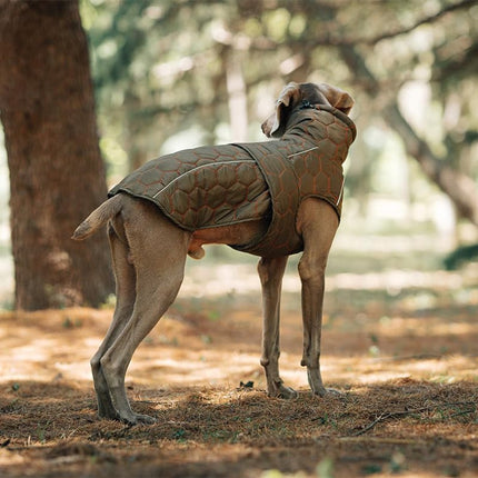 Dog Coat - Winter Dog Coat - Warm Dog Coat - Waterproof Dog Coat - Adjustable Reflective Coat - Velcro Design - Ideal for Medium-Sized Dogs - Size M - Green.