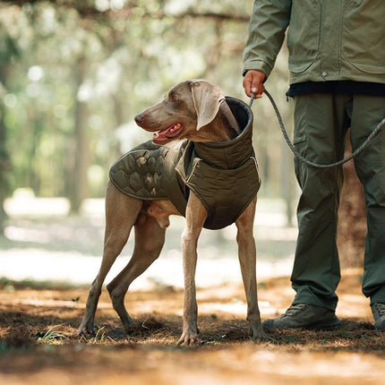 Dog Coat - Winter Dog Coat - Warm Dog Coat - Waterproof Dog Coat - Adjustable Reflective Coat - Velcro Design - Ideal for Medium-Sized Dogs - Size M - Green.