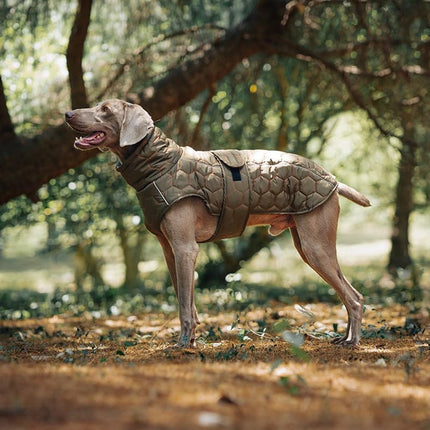 Dog Coat - Winter Dog Coat - Warm Dog Coat - Waterproof Dog Coat - Adjustable Reflective Coat - Velcro Design - Ideal for Medium-Sized Dogs - Size M - Green.