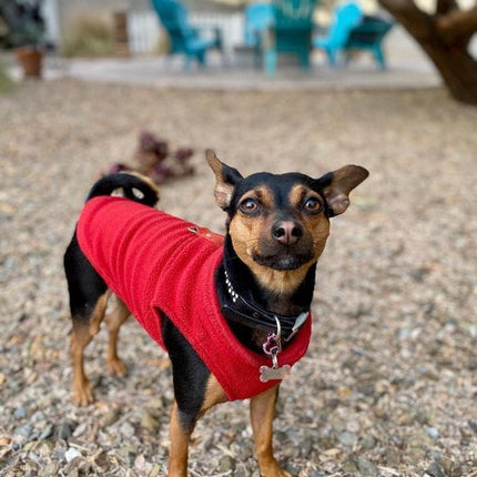 Dog Coat - Fleece Dog Vest - Winter Dog Sweater - Warm Dog Coat - Leash with O-Ring - Perfect for Small and Medium Dogs - Red - Size S.