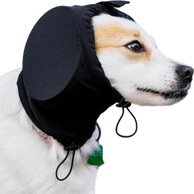 Pet Care.