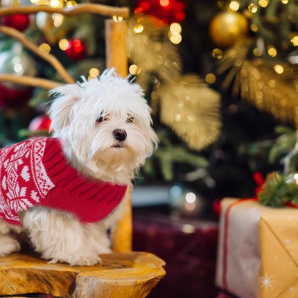 Dog Sweater - Christmas Dog Sweaters - Sleeveless Dog Sweaters - Dog Coat - Warm Autumn and Winter Puppy Sweater - Ugly Sweater - Perfect for Small Dogs - Dog - Medium - New Year's Holidays - XL.