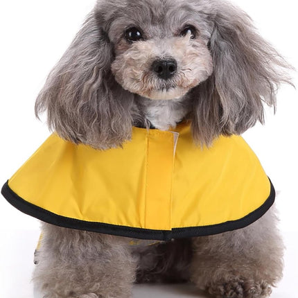 Pet Care.