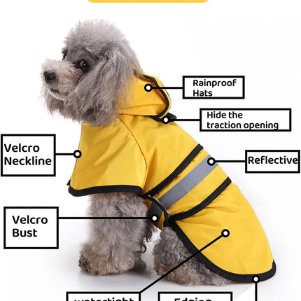 Pet Care.