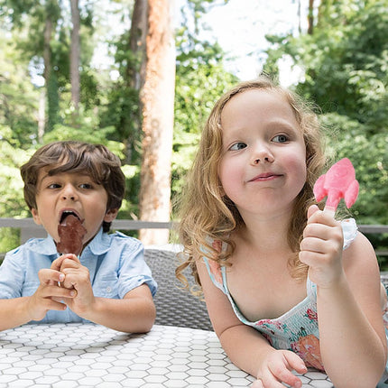 Silicone Ice Pop Mold - Set of 2 Ice Pop Molds - 12 Ice Pops - Ice Pop Molds for Kids and Adults - Ice Pop Mold Set - BPA Free.