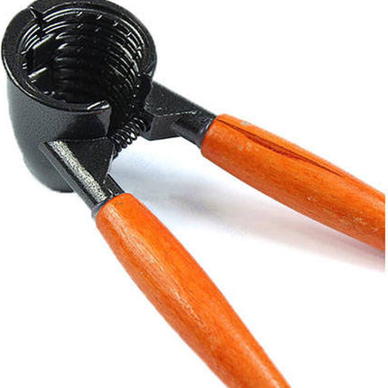 TR Goods - Steel nutcracker with wooden handle - Suitable for all nuts, including walnuts, hazelnuts and almonds.