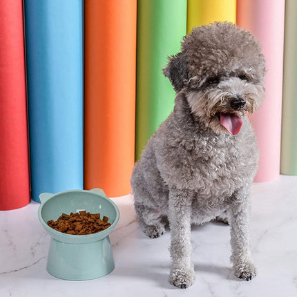 Pet Care Cartoz.