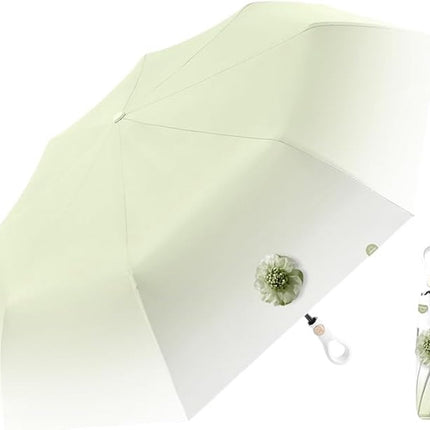 Home & Garden Cartoz.