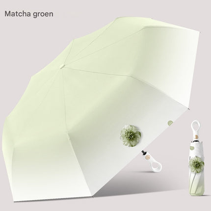 Home & Garden Cartoz.