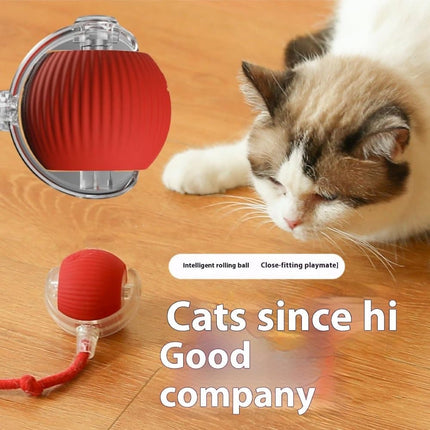 Pet Care Cartoz.
