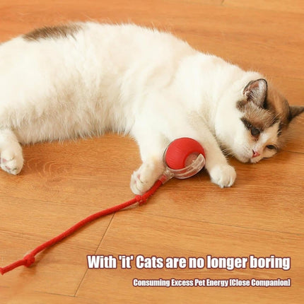 Pet Care Cartoz.