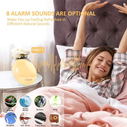 1 Pack Wake Up Light Alarm Clock with FM Radio and Sunrise Sunset Simulation.