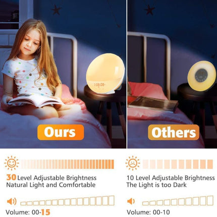 1 Pack Wake Up Light Alarm Clock with FM Radio and Sunrise Sunset Simulation.
