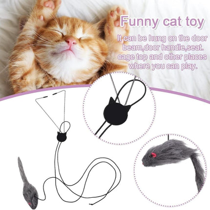 Cat Toy with Mouse and Feather, Hanging Door Toy for Indoor Cats, Stimulating Play.
