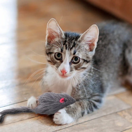 Cat Toy with Mouse and Feather, Hanging Door Toy for Indoor Cats, Stimulating Play.