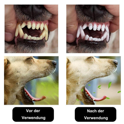 20 Pack Pet Finger Brush for Dogs and Cats, Gentle Teeth Cleaning, Reusable, Compatible with Oral-B.