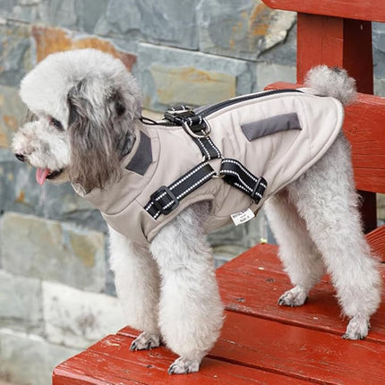 Pet Care Cartoz.