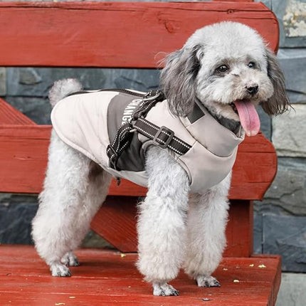 Pet Care Cartoz.