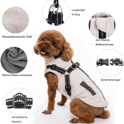 Pet Care Cartoz.
