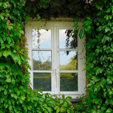 Mirror Reflective Self-Adhesive Window Film for Sun Protection UV Blocking and Privacy, Silver, 40cmx5m.