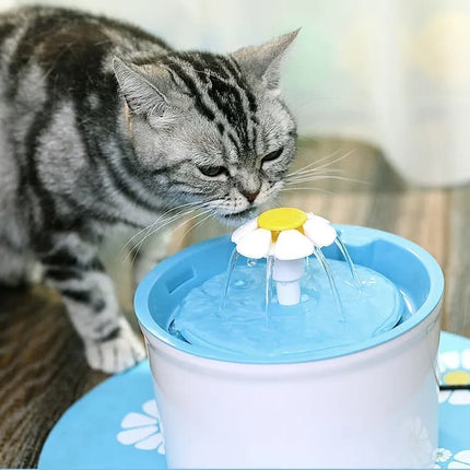 Pet Care Cartoz.