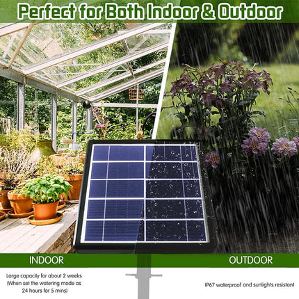 Home & Garden Cartoz.