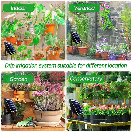 Home & Garden Cartoz.
