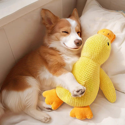 1 Calming Plush Duck Dog Toy with Squeaker for Small Dogs, M.