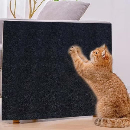Pet Care Cartoz.