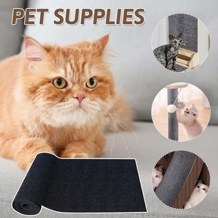 Pet Care Cartoz.