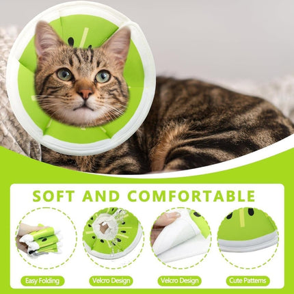 Pet Care Cartoz.