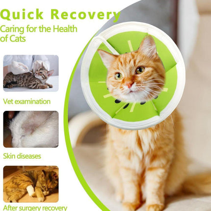 Pet Care Cartoz.