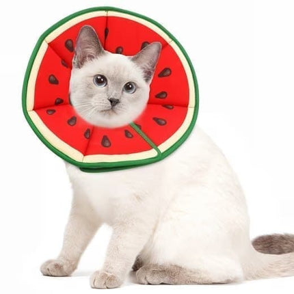 1x Adjustable Protective Collar for Cats and Dogs with Velcro, Compatible with Cats, S (RED).