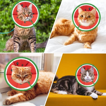 1x Adjustable Protective Collar for Cats and Dogs with Velcro, Compatible with Cats, S (RED).