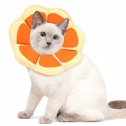 Pet Care.