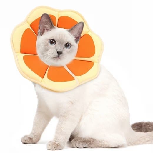 Protective Collar for Cats and Dogs, Adjustable Neck Collar with Velcro, Compatible with Cats, Orange, S.