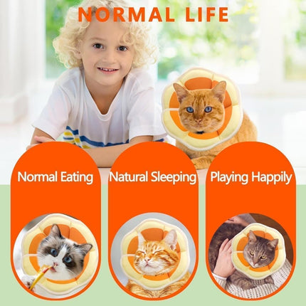 Pet Care.