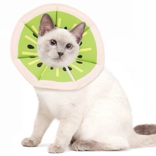 Adjustable Protective Collar for Cats and Dogs with Velcro, M, Green.
