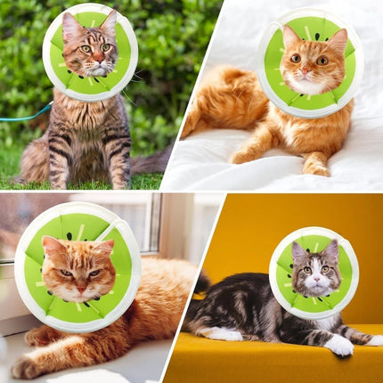 Adjustable Protective Collar for Cats and Dogs with Velcro, M, Green.
